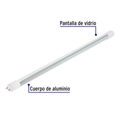 Tubo de LED T8 9 W base G13 pantalla de vidrio, Basic | LED-T809V | 28000