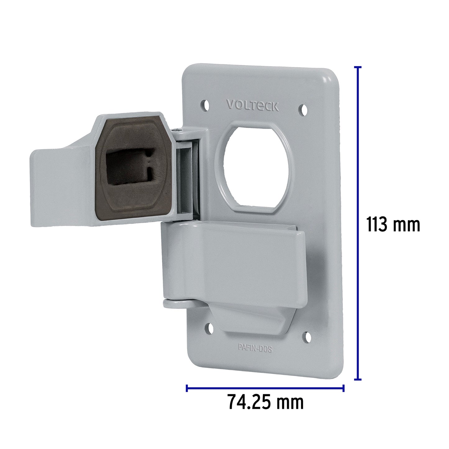 Placa tipo FS, con cubierta, doble, sobreponer, Volteck | PAFIN-DOS | 46433