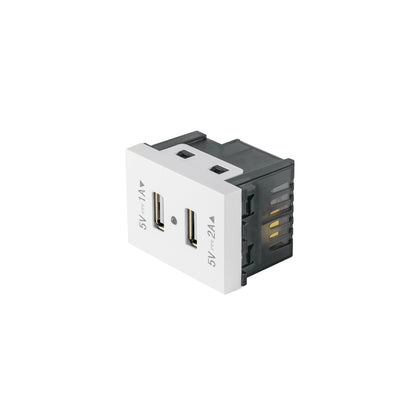 Toma con 2 puertos USB, 1.5 módulos, línea Española, blanco | C2USB-EB | 47057